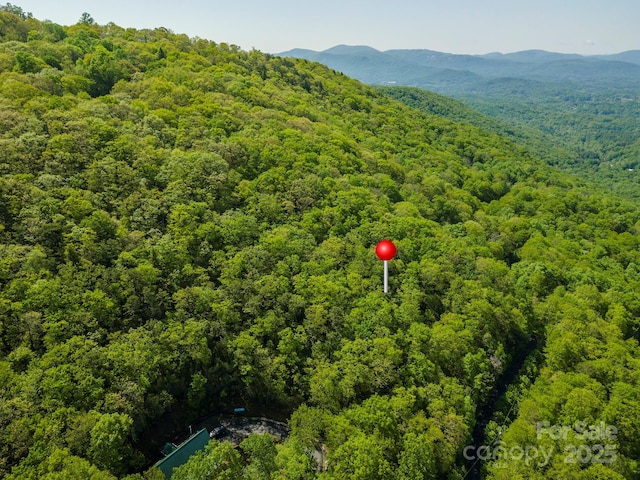 Listing photo 3 for 99999 Red Oak Forest Rd Unit 1418, Fairview NC 28730