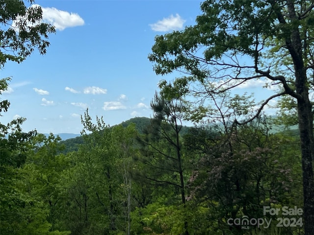 999 Old Ivy Ln, Pisgah Forest NC, 28768 land for sale