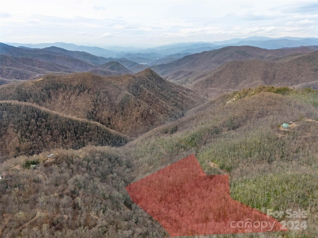 LOT111 Cranberry Creek Rd, Maggie Valley NC, 28751 land for sale