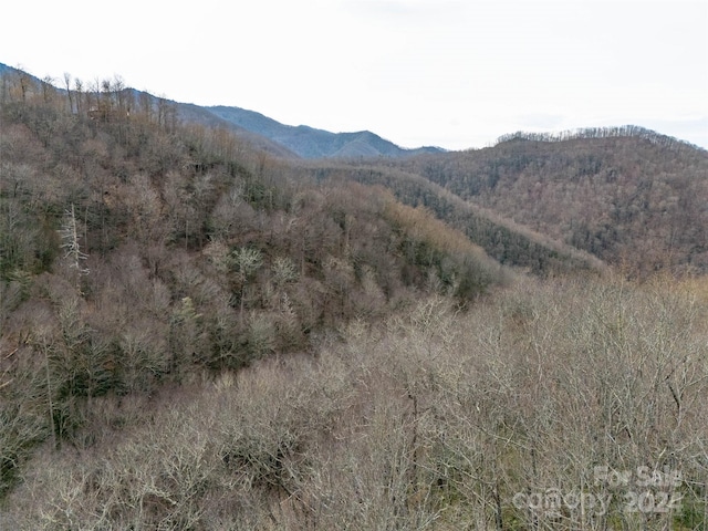 Listing photo 3 for LOT111 Cranberry Creek Rd, Maggie Valley NC 28751