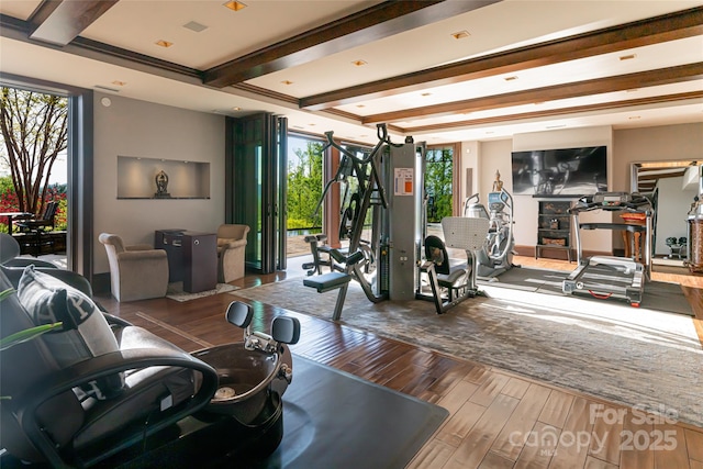 exercise room featuring plenty of natural light and wood finished floors