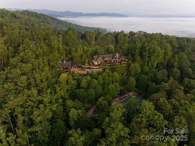 66 N Deerhaven Ln, Asheville, NC 28803 - photo 48