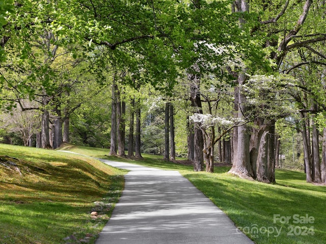 view of home's community featuring a lawn and a wooded view