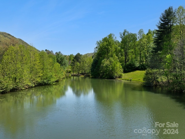 view of water feature featuring a wooded view