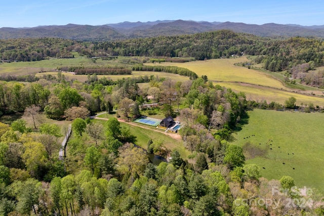 birds eye view of property with a mountain view