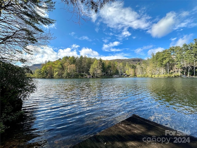 Listing photo 3 for L83 N Club Blvd Unit 83, Lake Toxaway NC 28747