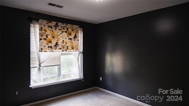 carpeted spare room featuring plenty of natural light