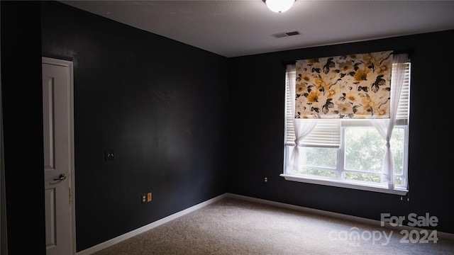 empty room featuring carpet