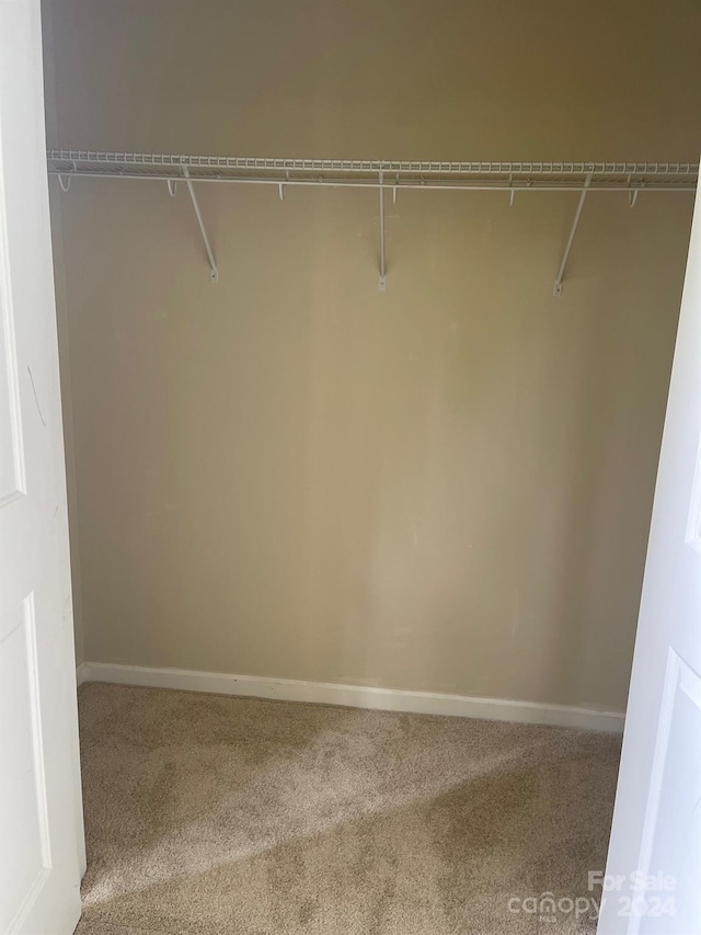 walk in closet with light carpet