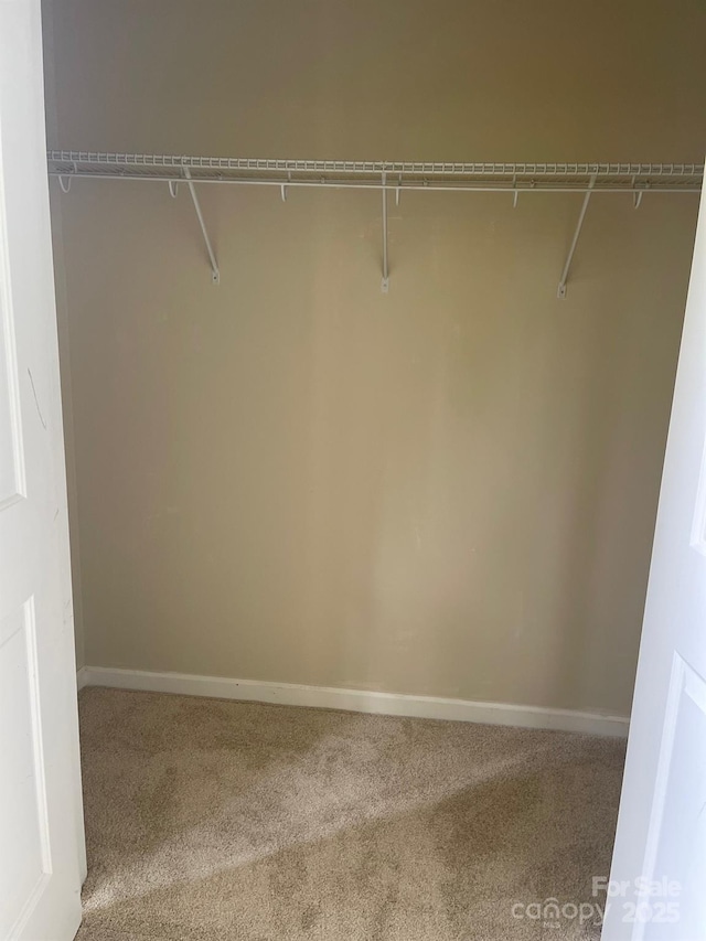 walk in closet with carpet