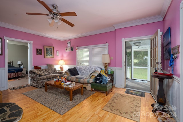 living room featuring ceiling fan, ornamental molding, and light hardwood / wood-style floors