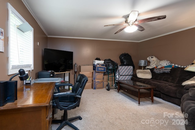 carpeted office with ceiling fan and ornamental molding