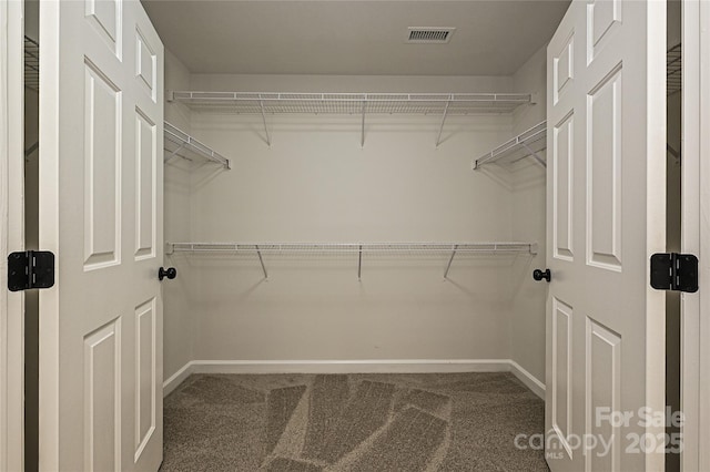 spacious closet with carpet floors