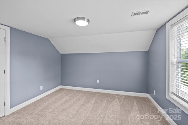 additional living space with carpet and lofted ceiling