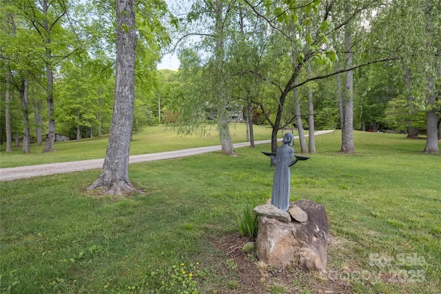 surrounding community featuring a lawn