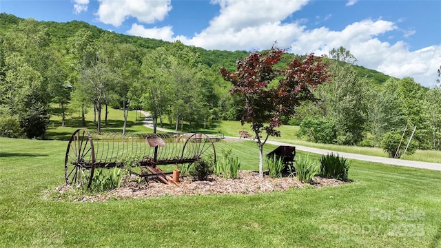 view of property's community with a yard and a mountain view