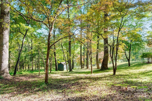 view of yard featuring a storage shed