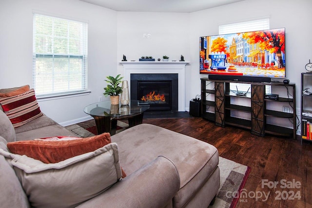 living room featuring dark wood-type flooring