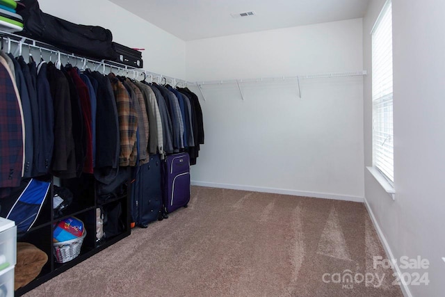 walk in closet featuring carpet flooring