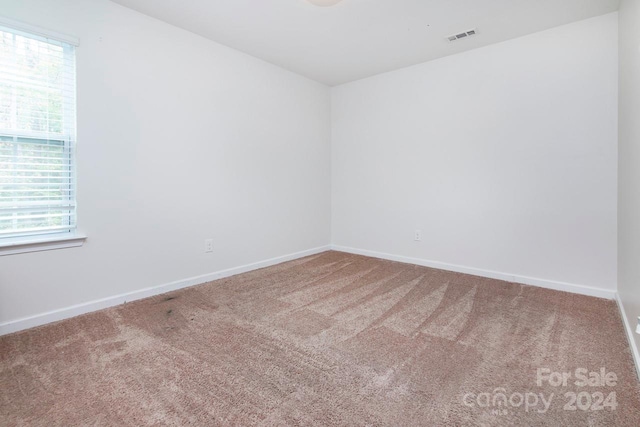 unfurnished room featuring a healthy amount of sunlight and carpet