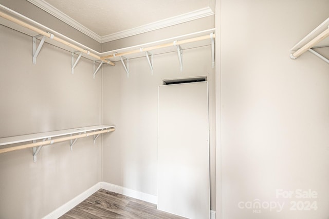 walk in closet featuring wood-type flooring