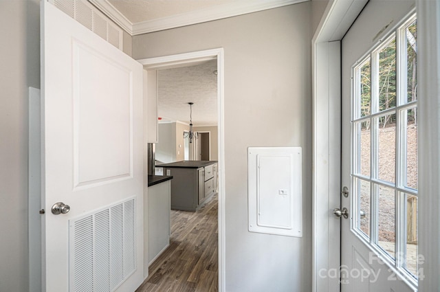 clothes washing area featuring dark wood-type flooring, a textured ceiling, electric panel, and ornamental molding