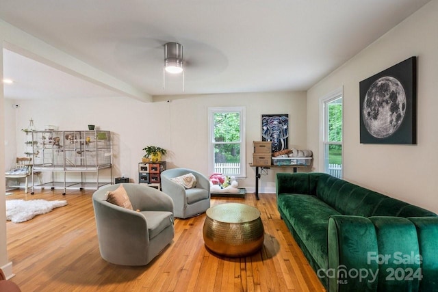 living room with ceiling fan and hardwood / wood-style flooring