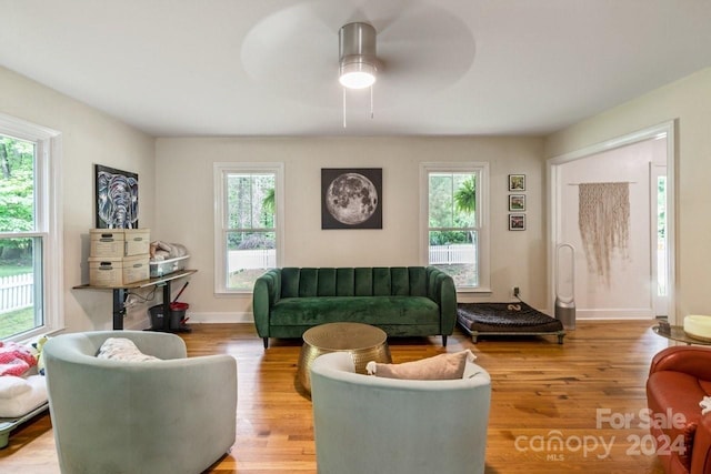 living room with light wood-type flooring, plenty of natural light, and ceiling fan