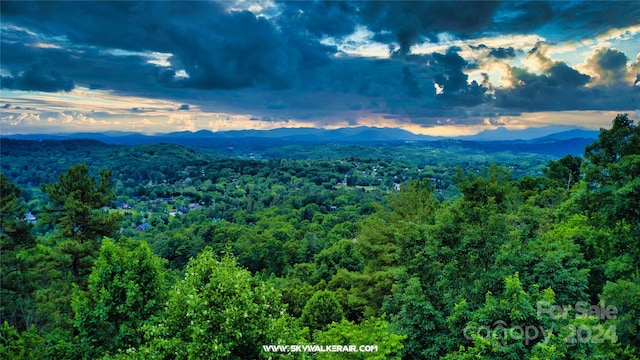 175 Senator Reynolds Rd Unit 23, Asheville NC, 28804 land for sale