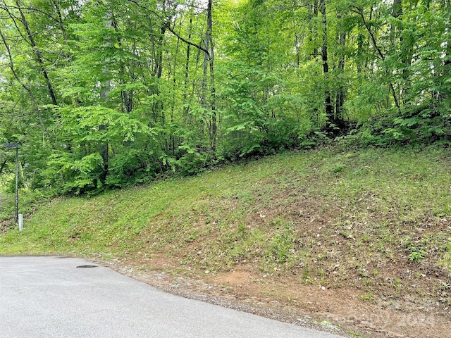 186 Aldersgate Rd, Waynesville NC, 28786 land for sale