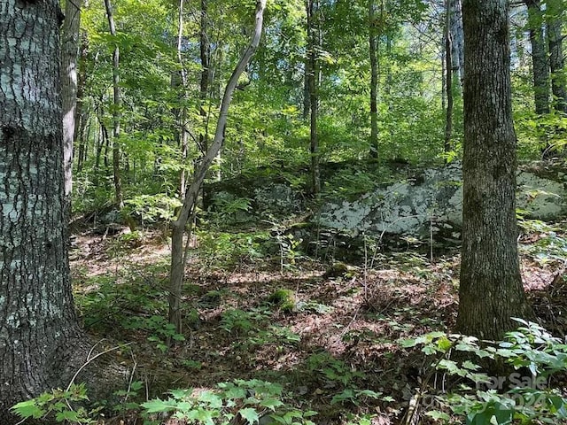 0 Trillium Heights Terrace 38, Hayesville, NC 28904