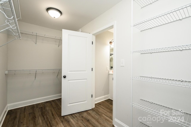 spacious closet featuring dark hardwood / wood-style flooring