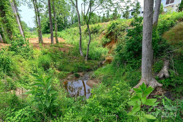 view of landscape