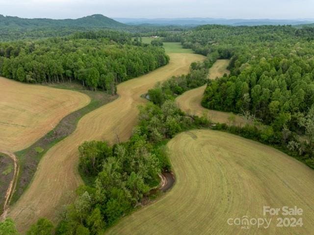 Listing photo 3 for TBD German Farm Rd, Boomer NC 28606