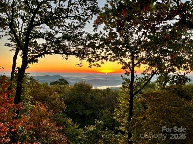 1052 Toxaway Dr, Lake Toxaway, NC 28747 - view of local wilderness