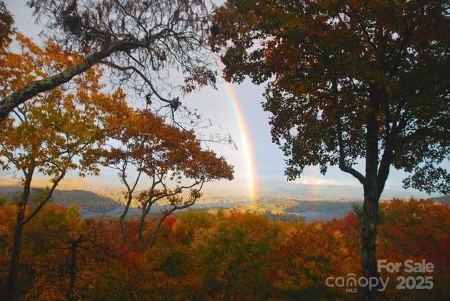 1052 Toxaway Dr, Lake Toxaway, NC 28747 - view of undeveloped land