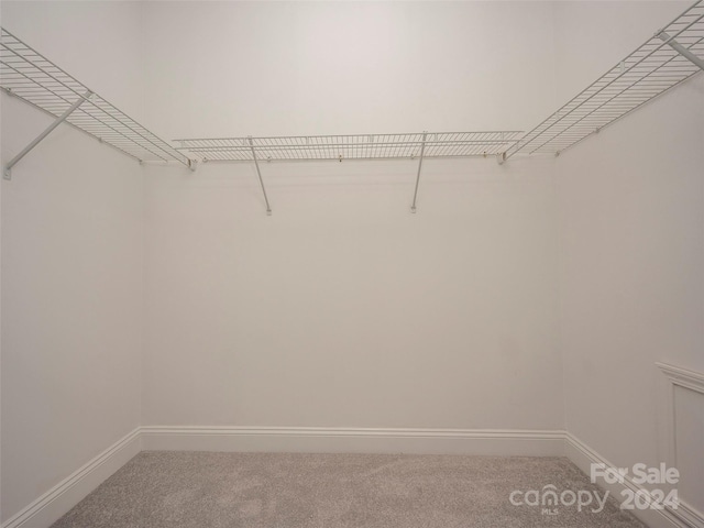 spacious closet featuring carpet floors