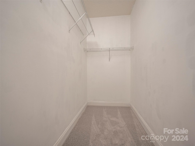 spacious closet featuring carpet flooring