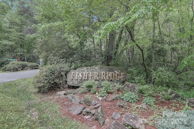 LOT119 Davey Crockett Dr, Maggie Valley NC, 28751 land for sale