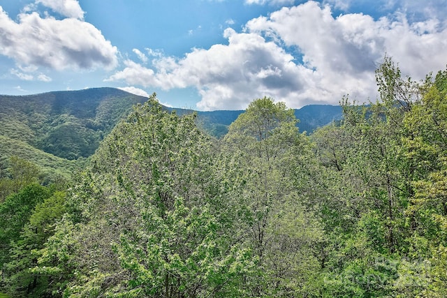 Listing photo 2 for LOT119 Davey Crockett Dr, Maggie Valley NC 28751