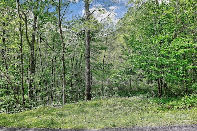 Listing photo 3 for LOT119 Davey Crockett Dr, Maggie Valley NC 28751