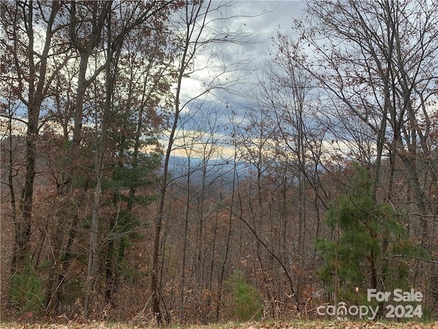 Listing photo 2 for 15 Waxwing Way Unit 15, Asheville NC 28804