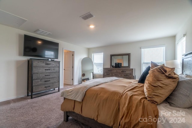 carpeted bedroom with multiple windows