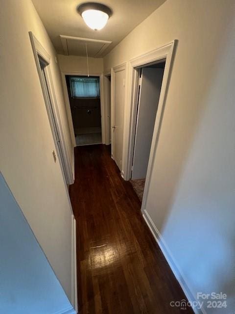 hall featuring wood-type flooring