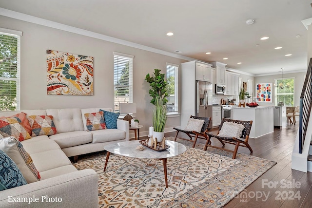 living room with crown molding, dark wood-type flooring, and a healthy amount of sunlight