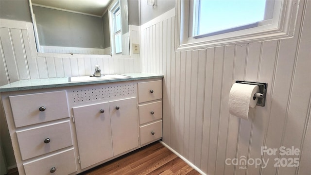 bathroom with wooden walls, vanity, and wood finished floors