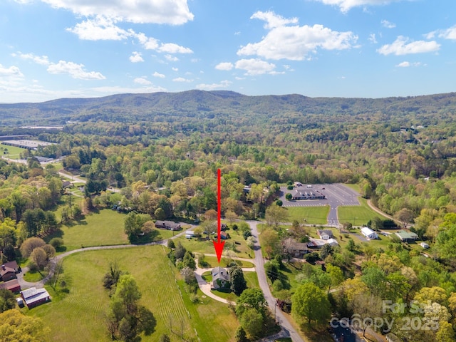 bird's eye view with a mountain view and a view of trees