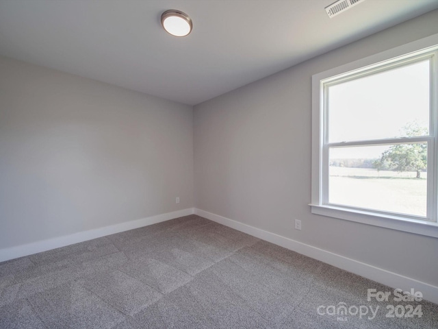 unfurnished room with a healthy amount of sunlight and carpet flooring