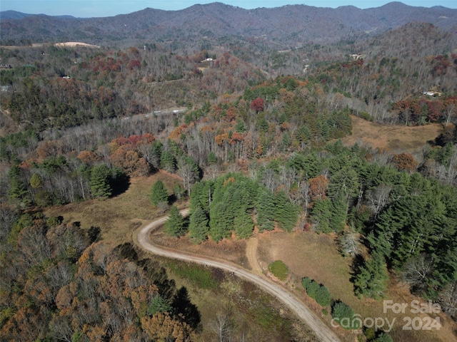 Listing photo 3 for 99999 Dream Valley Dr Unit 24, Clyde NC 28721