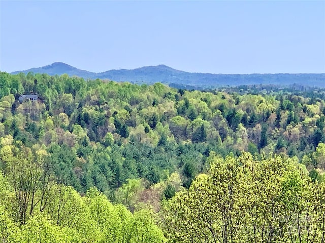 4.77ACRES LOT245 Johns Ridge Parkway Lot 245, Lenoir, NC 28645 - photo 1
